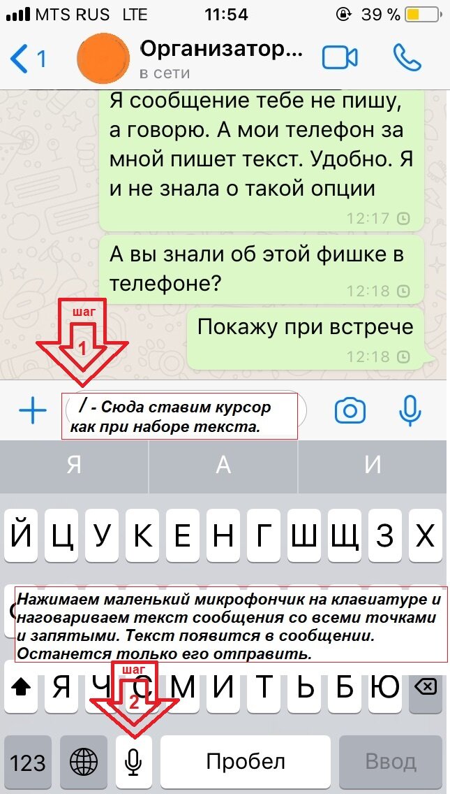 фото от автора