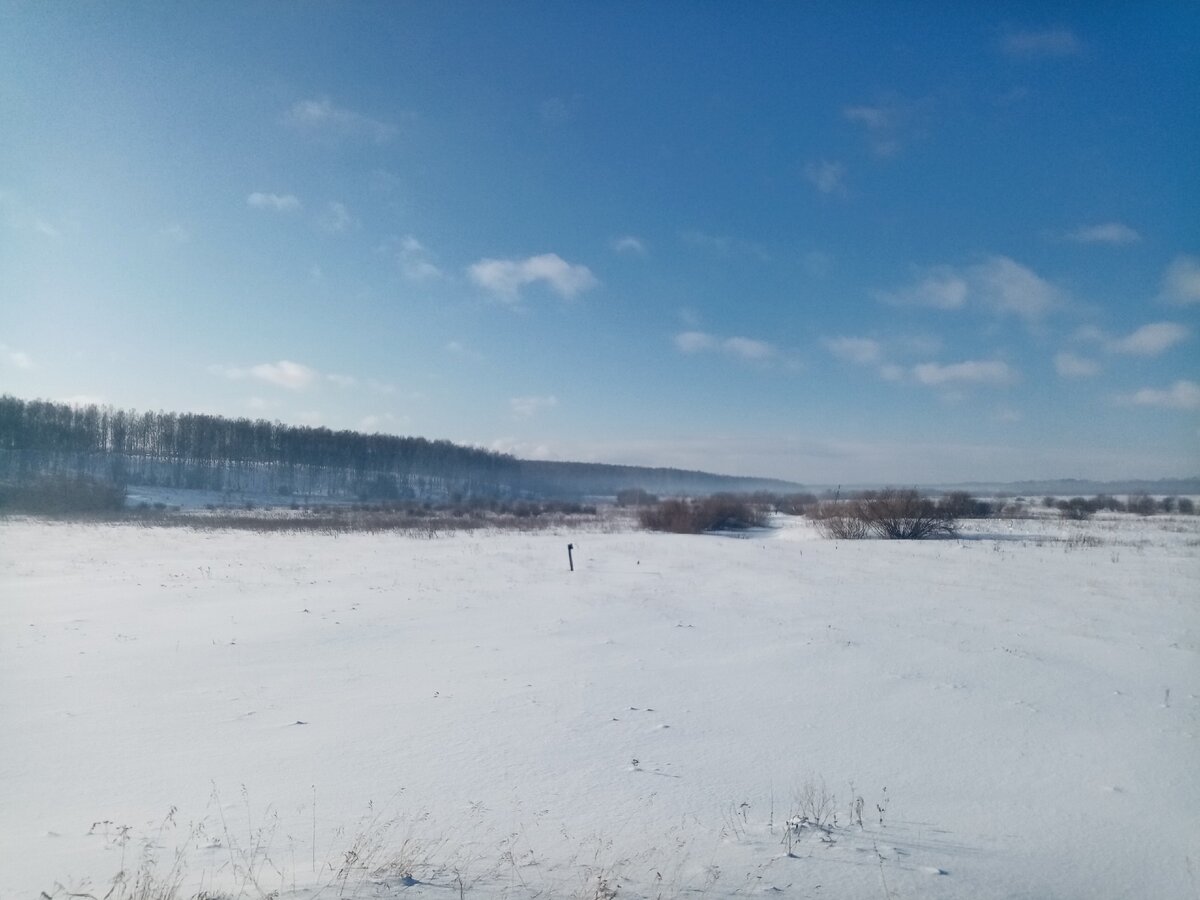 Согласись читатель, что зима не лучшее время года для большинства жителей нашей не обьятной,ведь кому нравятся морозы - 40,одевать на себя по несколько штанишек и тулуп? 