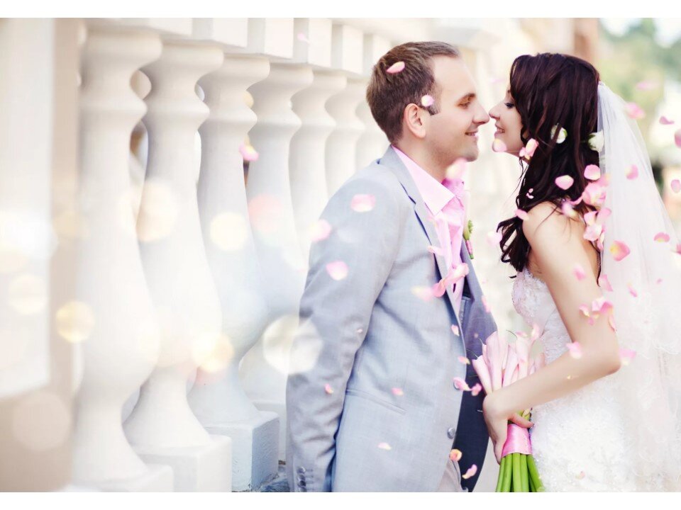 Фото из свободного Интернета