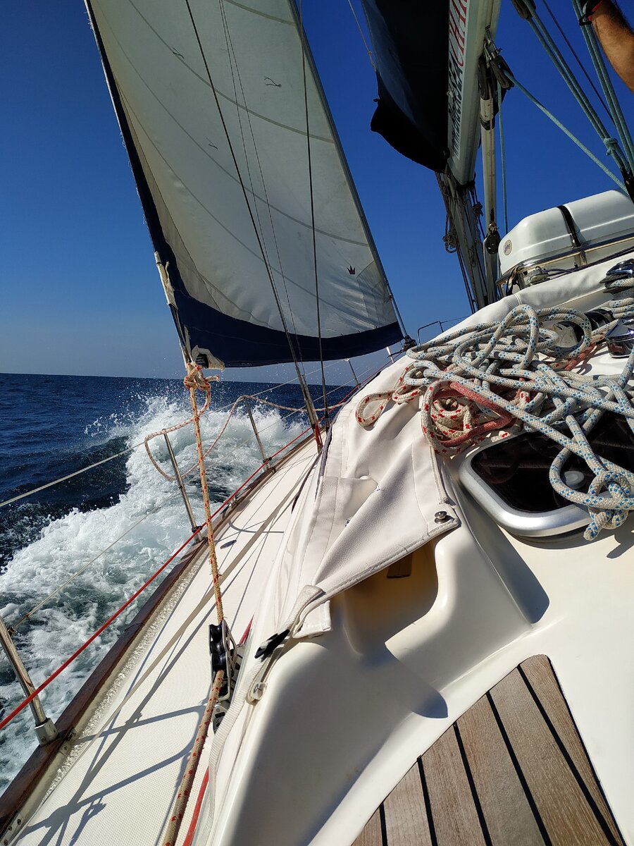 Фото автора, снято на смартфон