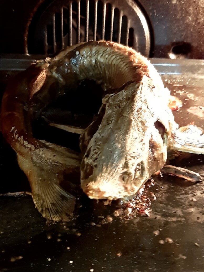 стерлядь-чупакабра