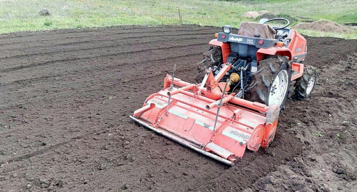 Фото из Яндекс Картинок