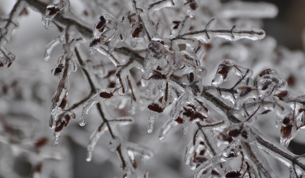 Яндекс фото