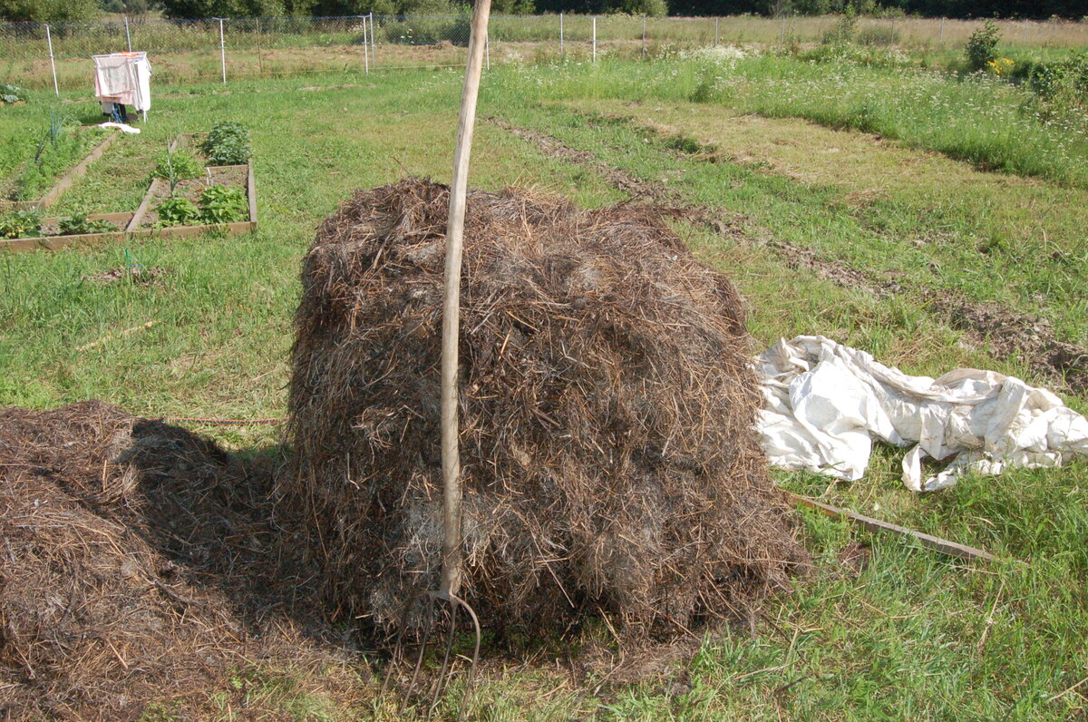 Моя первая компостная куча