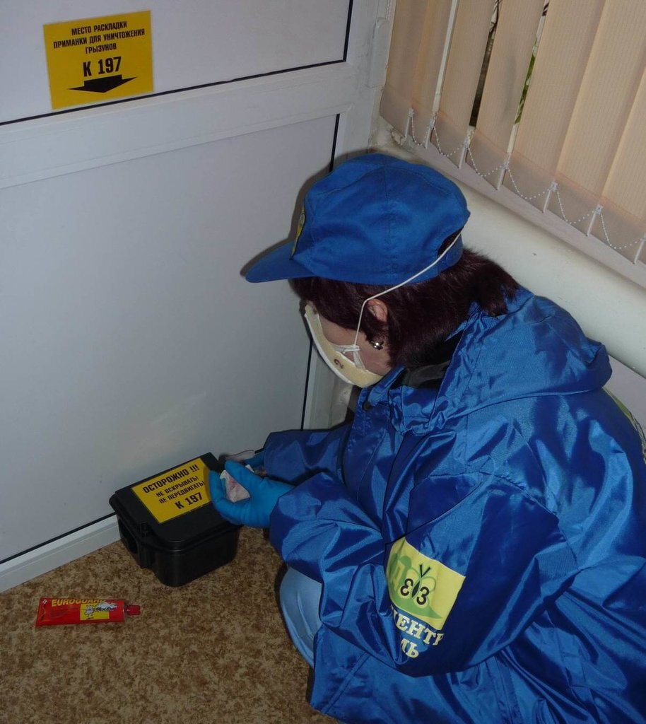 борьба с грызунами на предприятии