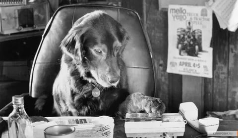 Картина - я и литература