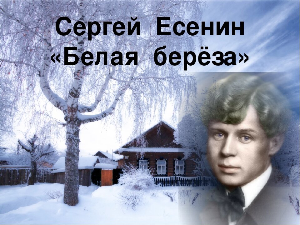 Белая береза Сергея Есенина.