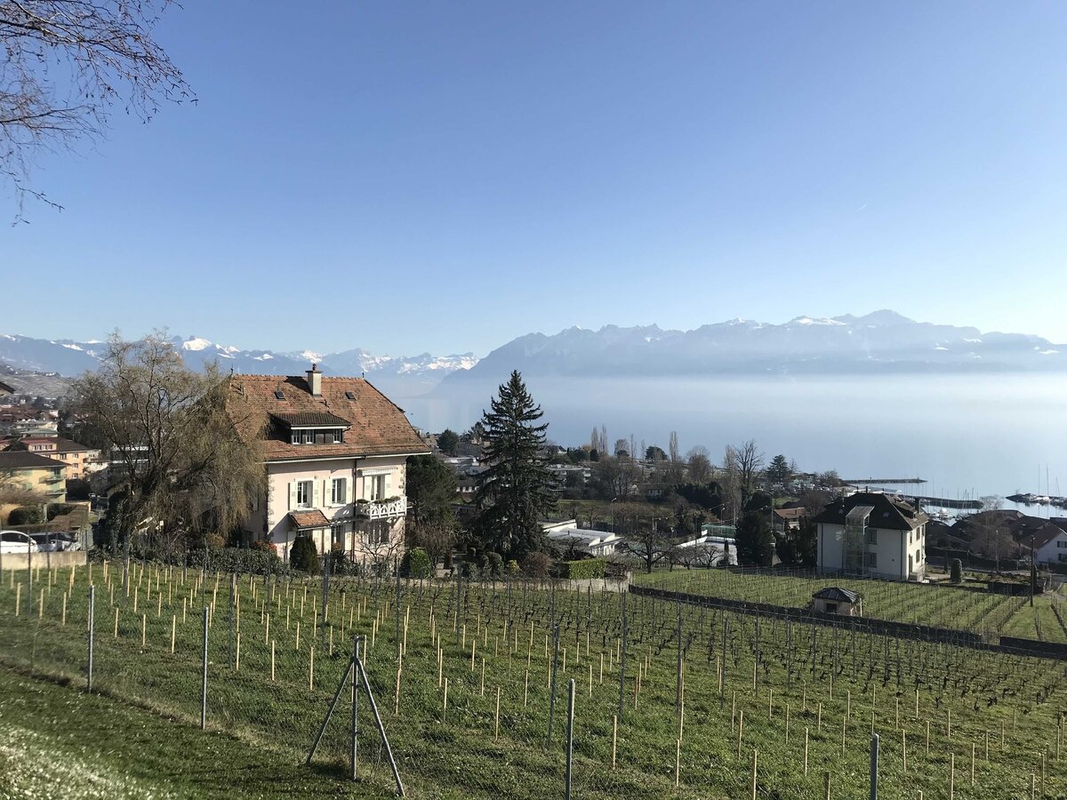 Вид на Женевское озеро. Февраль. Фото из собственного фотоархива