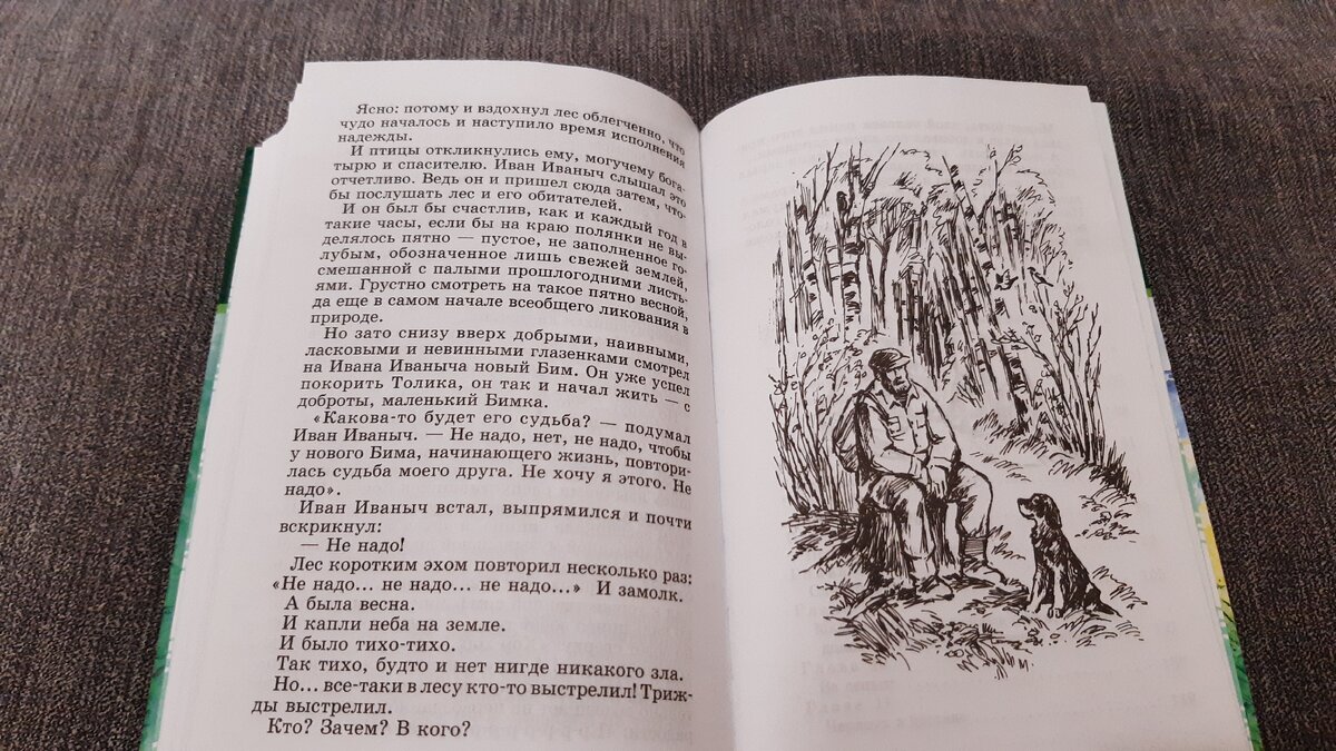 Фрагмент из книги "Белый Бим Чёрное ухо" 