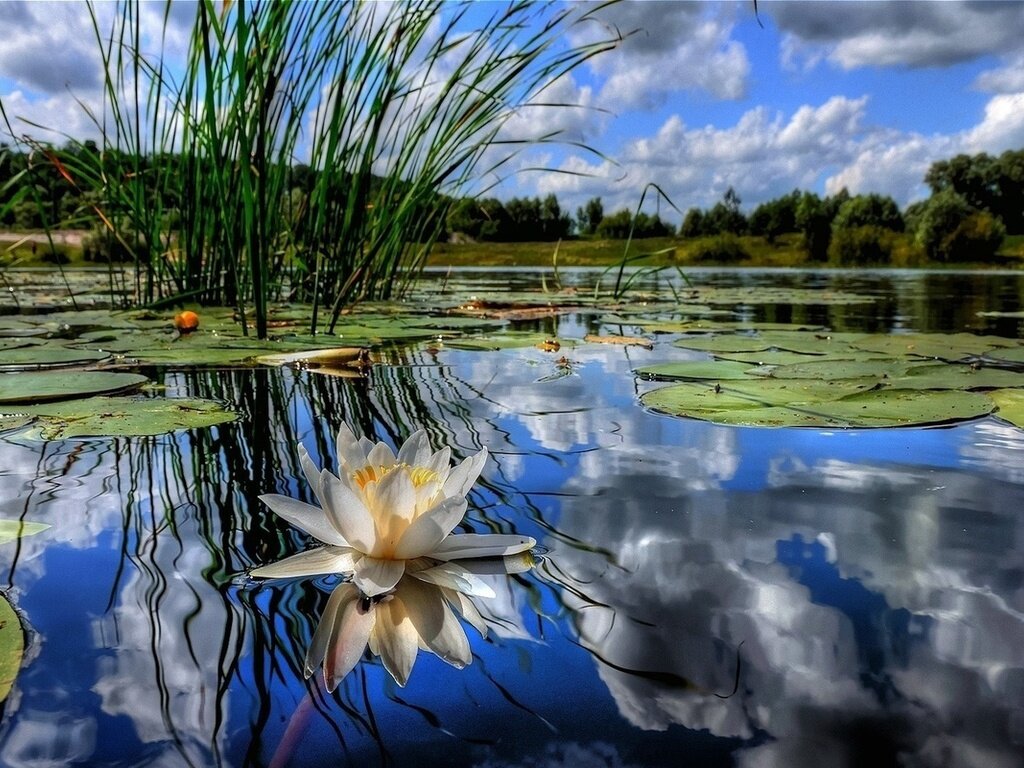 фото взято с яндекс картинки