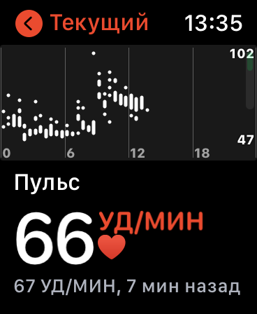 Так выглядит приложение на часах