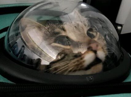 Я была уверена, что подготовилась к полёту, но всё пошло не так