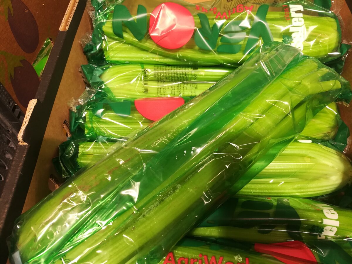 Стебли сельдерея