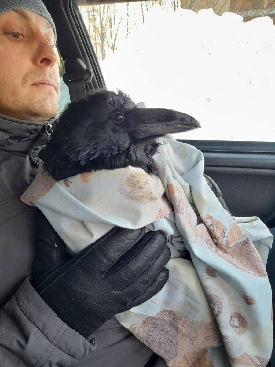 Фото: vk.com/«Губкинский – город мечты» Дарина Русинова