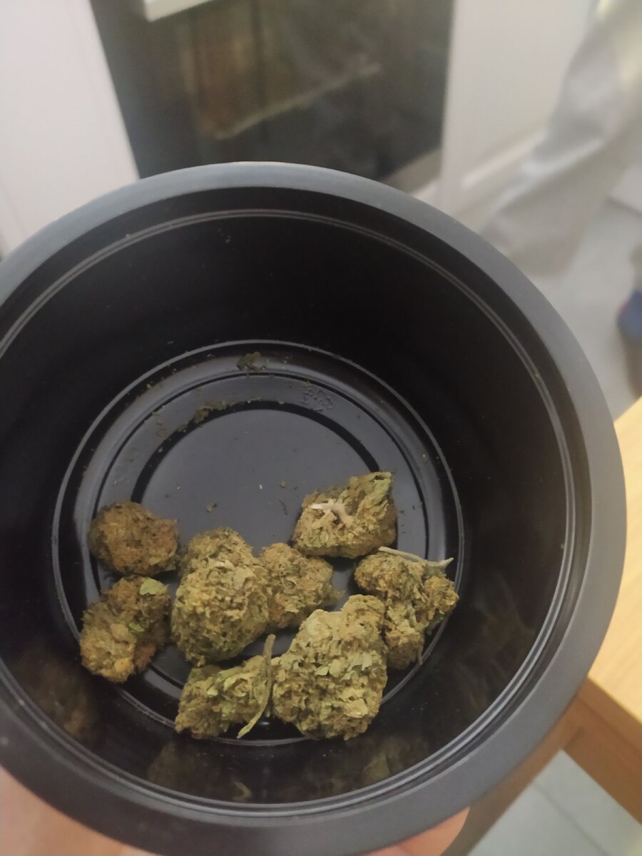 В 2017 году в Польше было разрешено медицинское применение марихуаны. Для этих целей ее можно приобрести по рецепту врача в аптеках.

Однако, как уже успели заметить многие, купить марихуану в Польше можно уже практически во всех крупных и не очень городах. Вот, к примеру, фото из города Тыхы Силезского воеводства:

