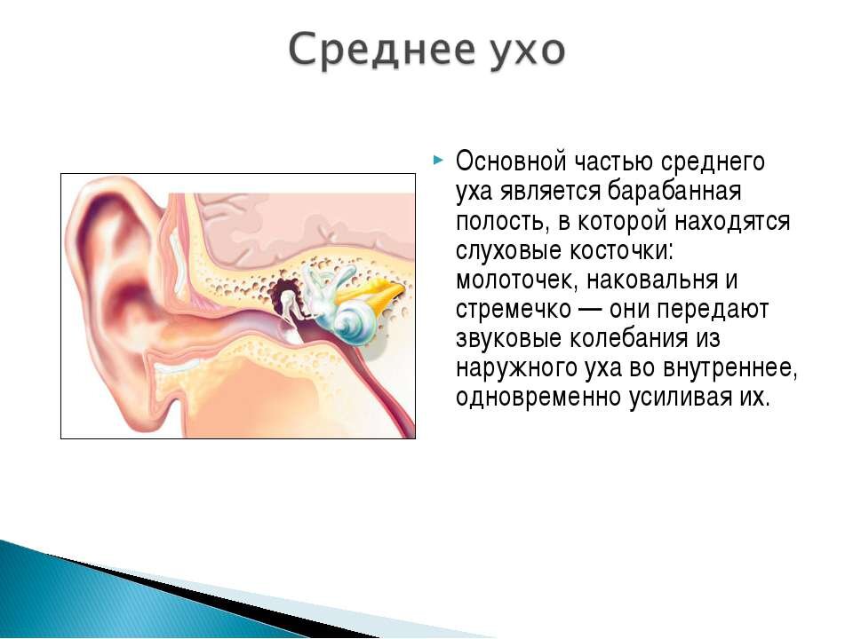 Фото заимствованно у интернета 
