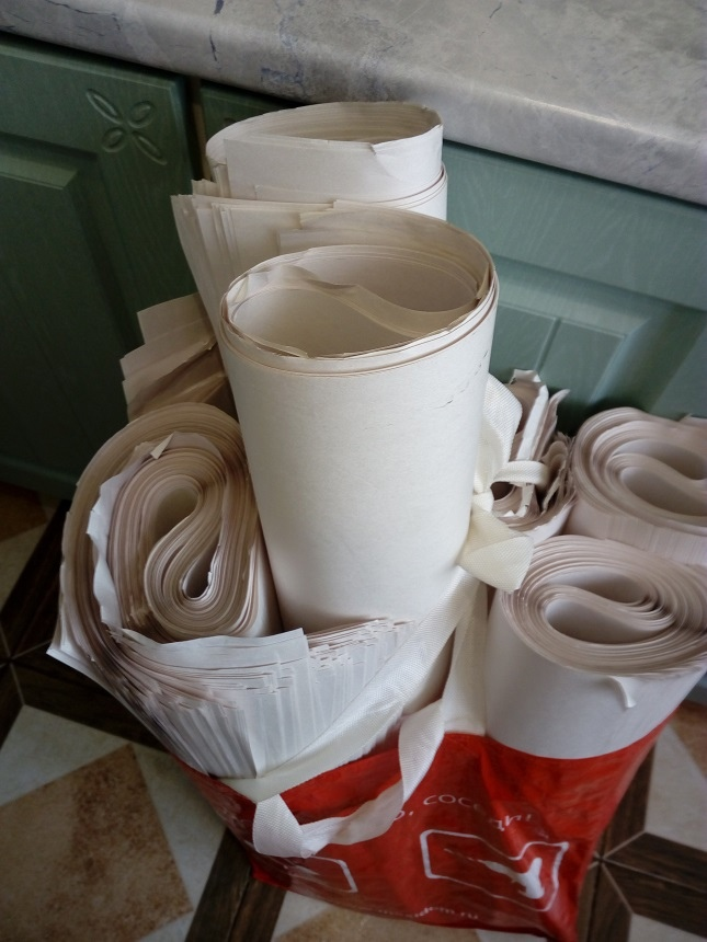 Сумка с бумагой. Личное фото