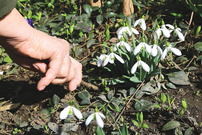 Фото: Наталья Сомова 
