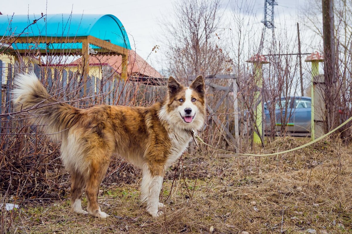 Мейсон  у  нас во всей красе