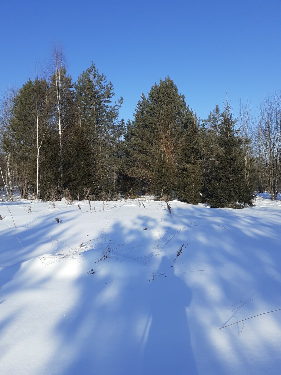 Фото автора с прогулки 