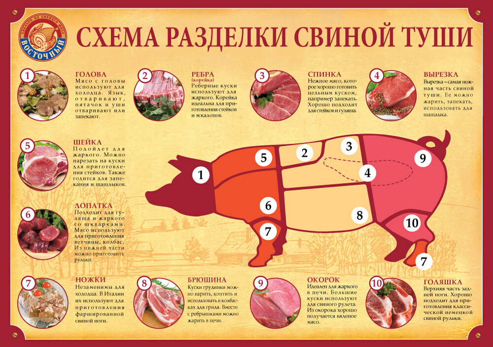 Разделка туши свиньи своими руками