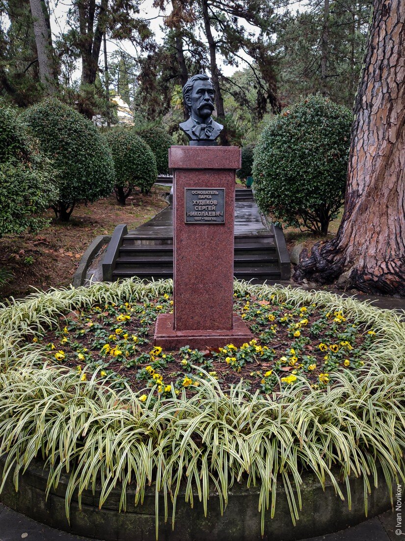 Сочинский дендрарий. Приглашаю на прогулку по лучшему парку в городе. |  ivannovikov | Дзен