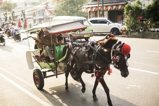 Фото автора Satria Bagaskara: Pexels