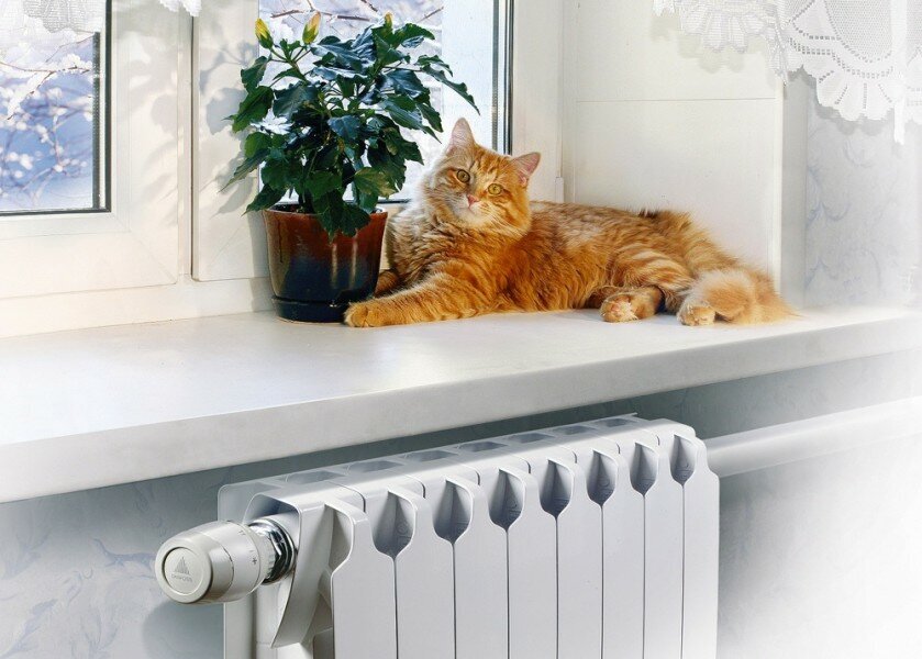 Яндекс. Картинки.