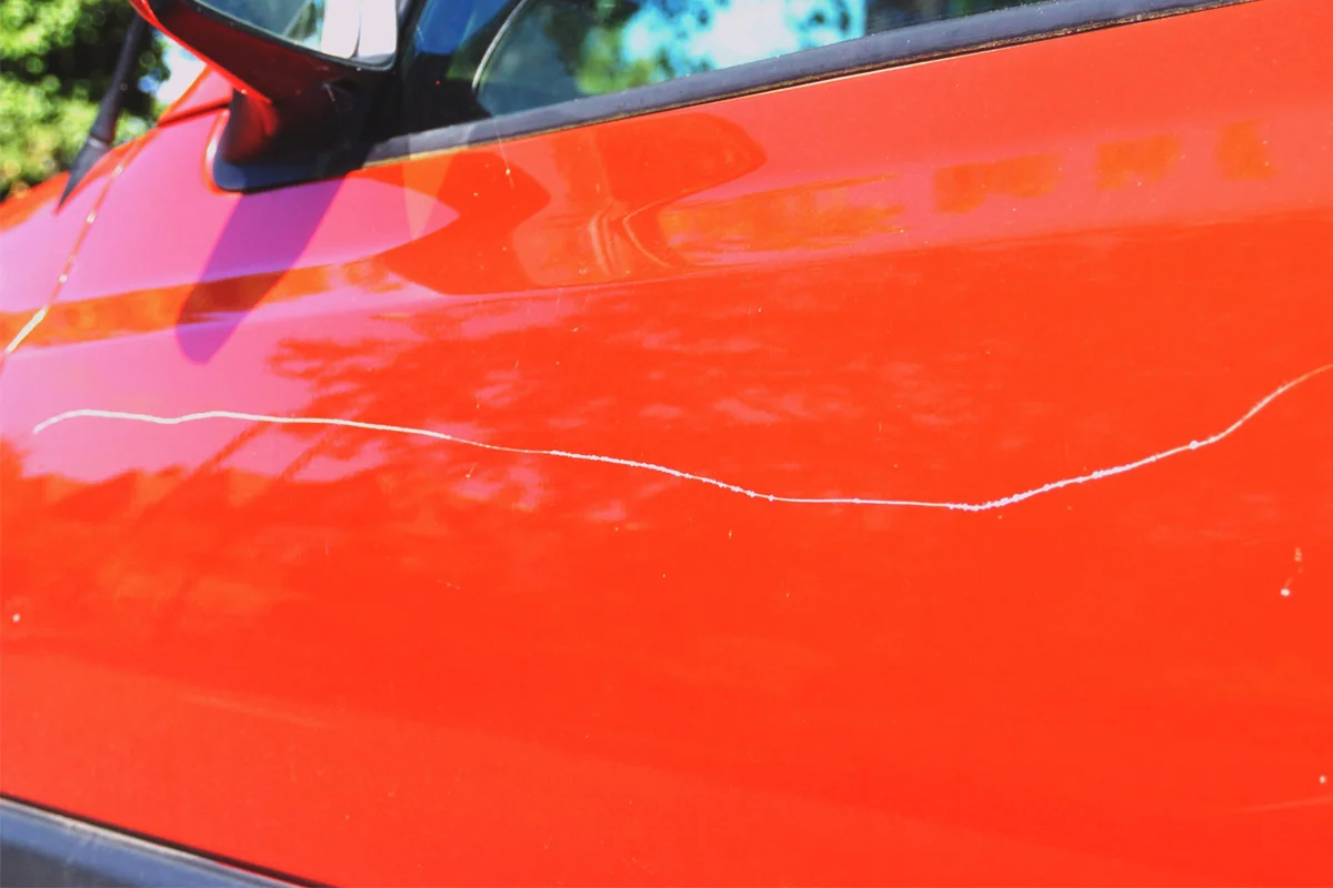 Фото Яндекс.Картинки