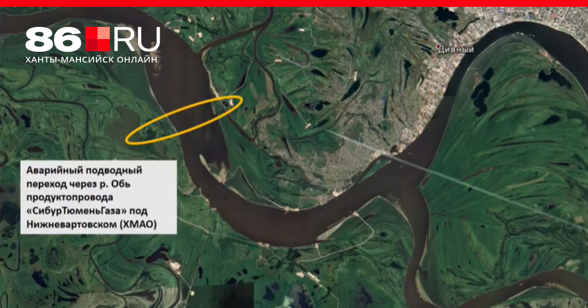 фото с сайта Яндекс-картинки