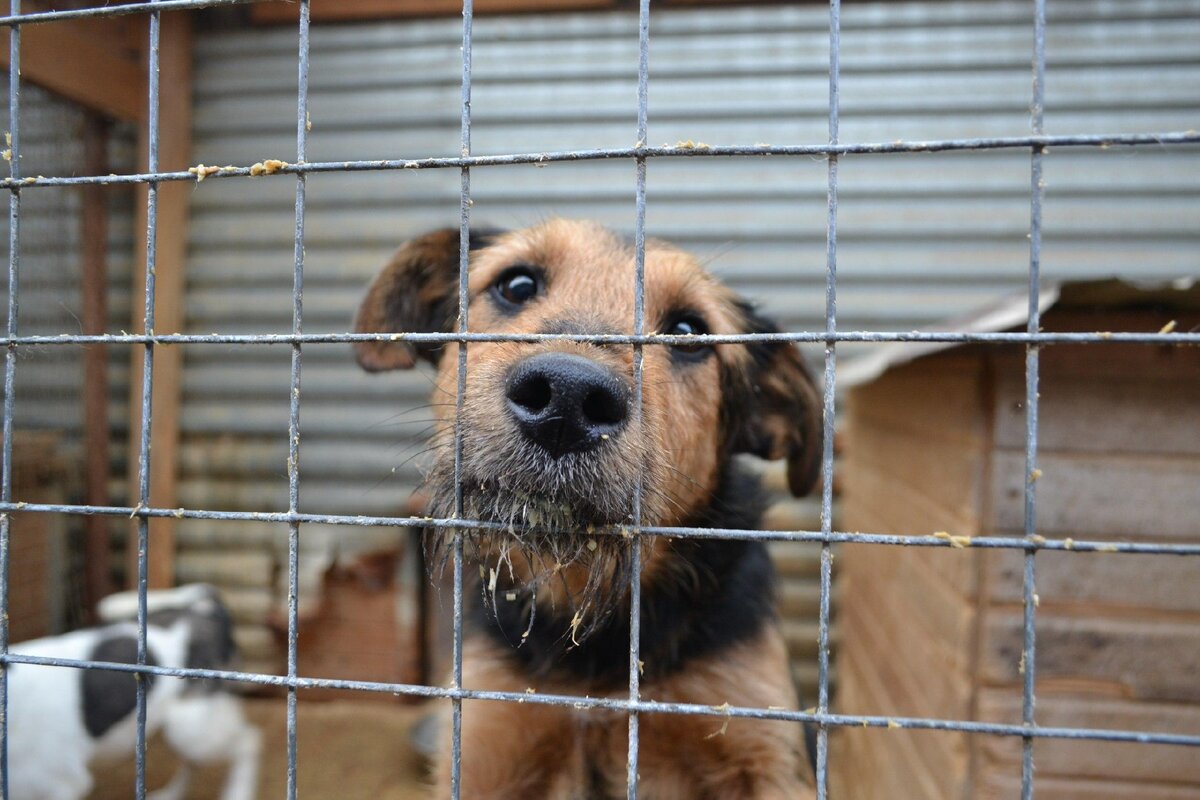 Фото: baikal24.ru