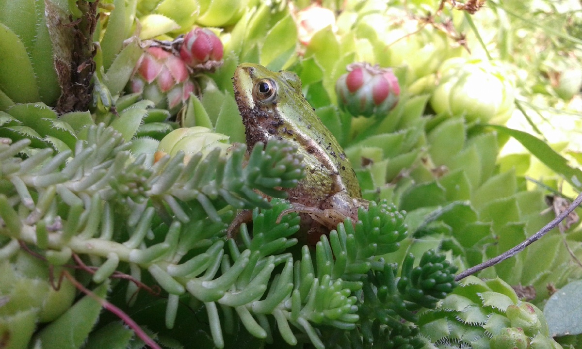 авторское фото