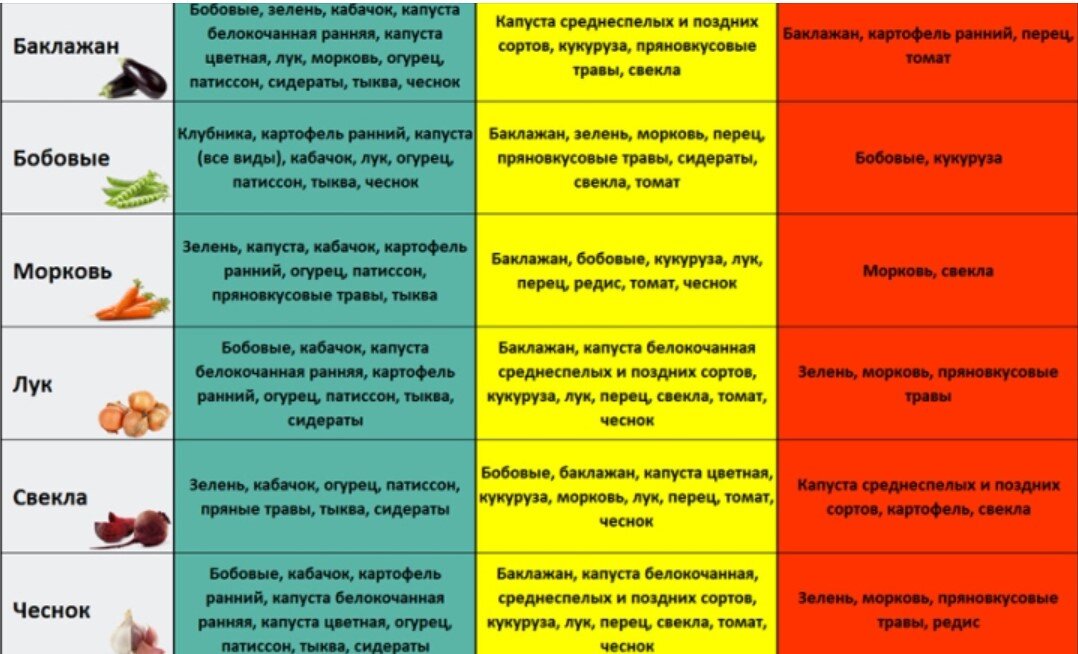 На каком расстоянии сажать свеклу