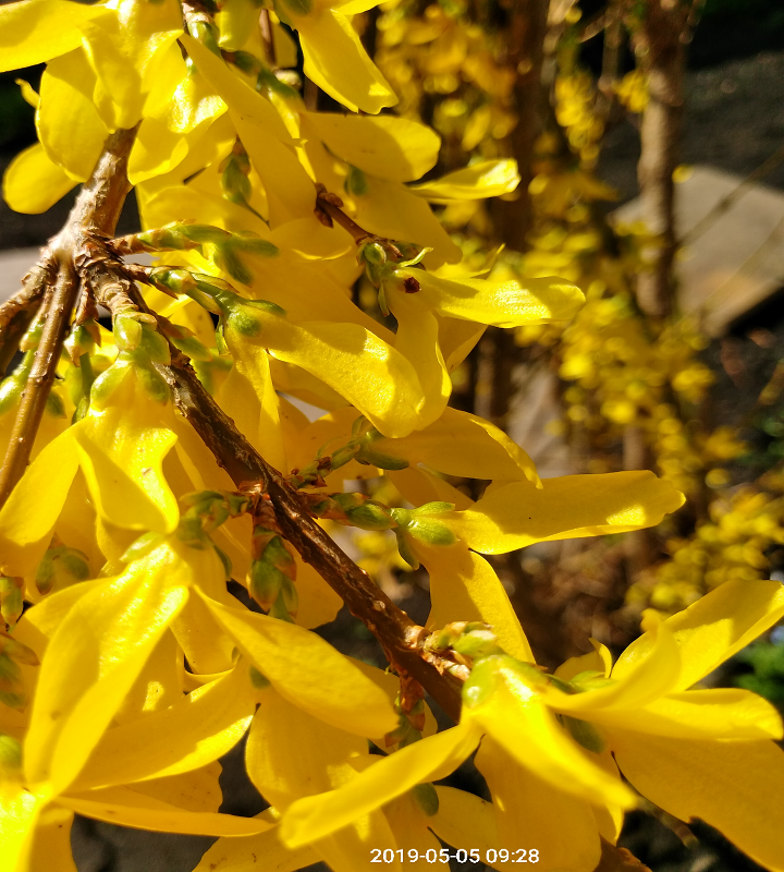 фото из личного архива