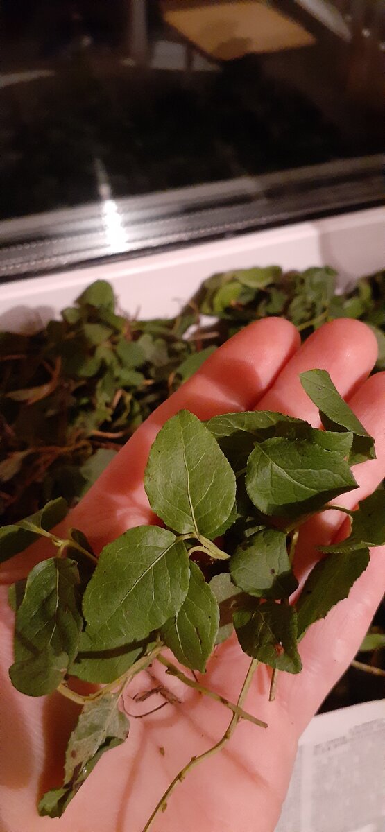 Собрана в Богучанском районе в ноябре