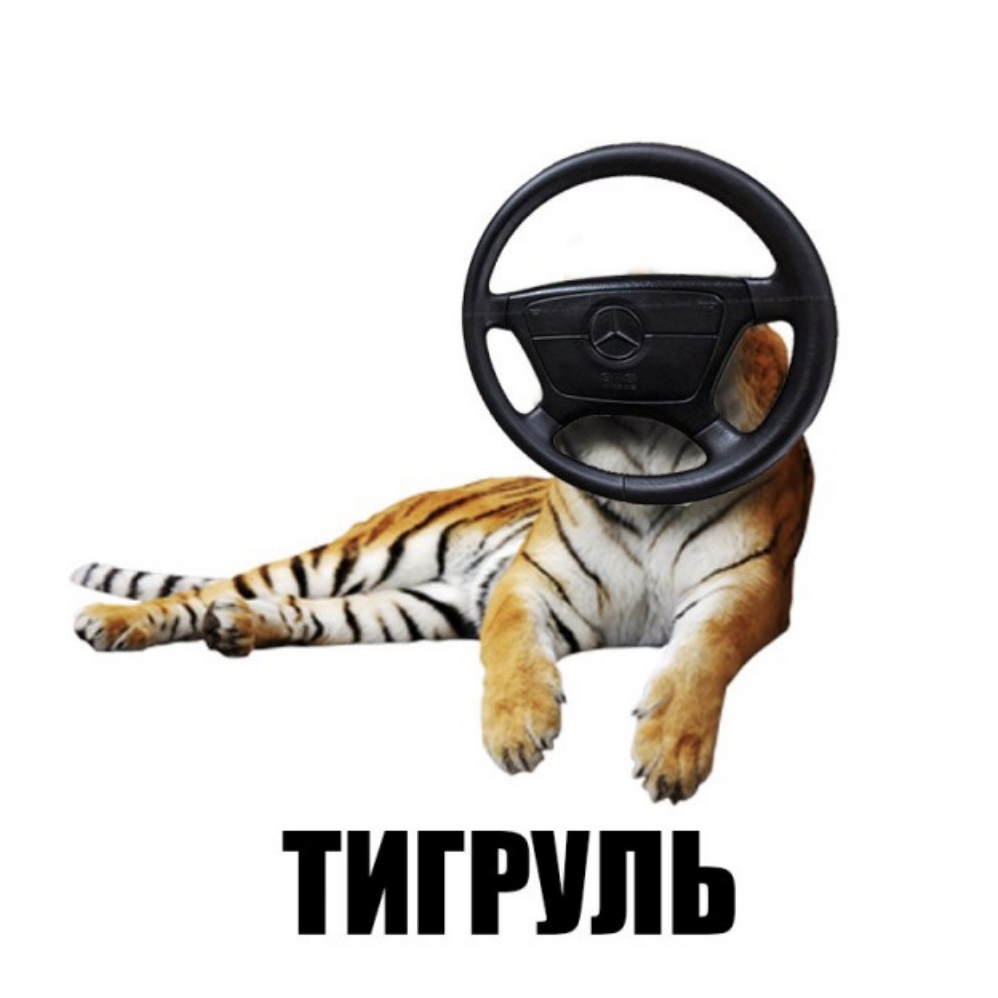 Батутка мем. Шлакоблокунь. Мемы животные и предметы. Шлакоблокунь мемы. Мемы с животными и предметами.