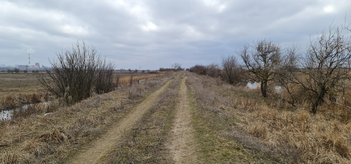 Дорога....