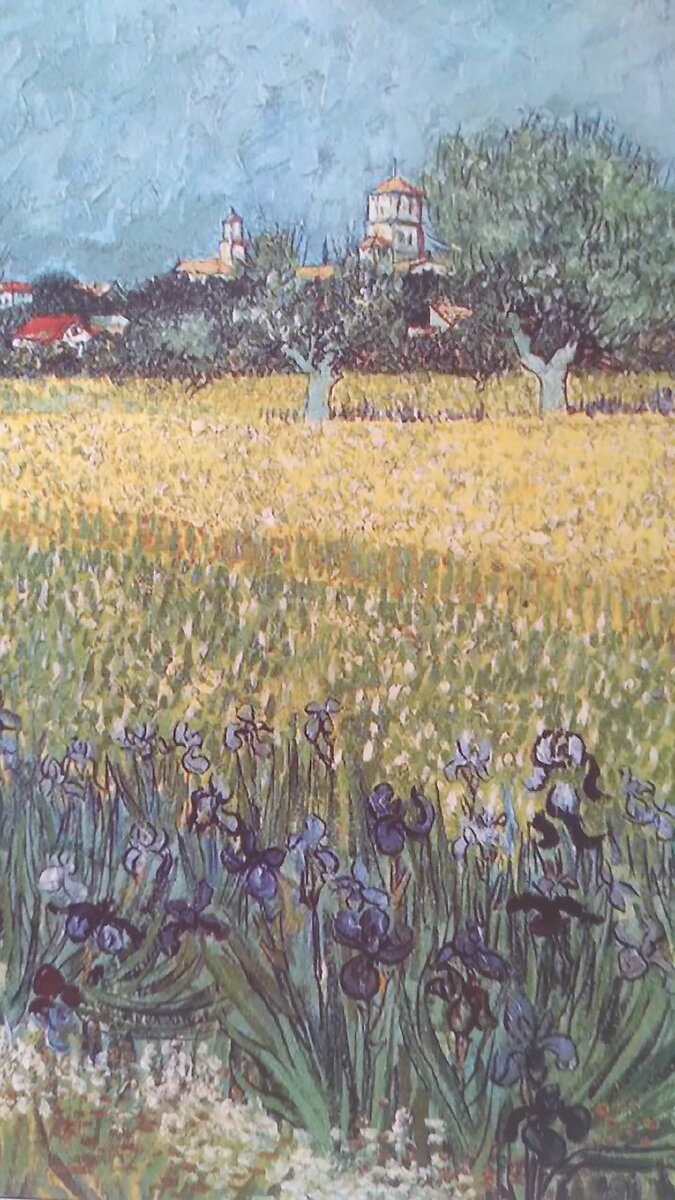 Вид на Арль с ирисами.1888г.