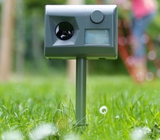 Ультразвуковые отпугиватели собак – применение, принцип действия и преимущества