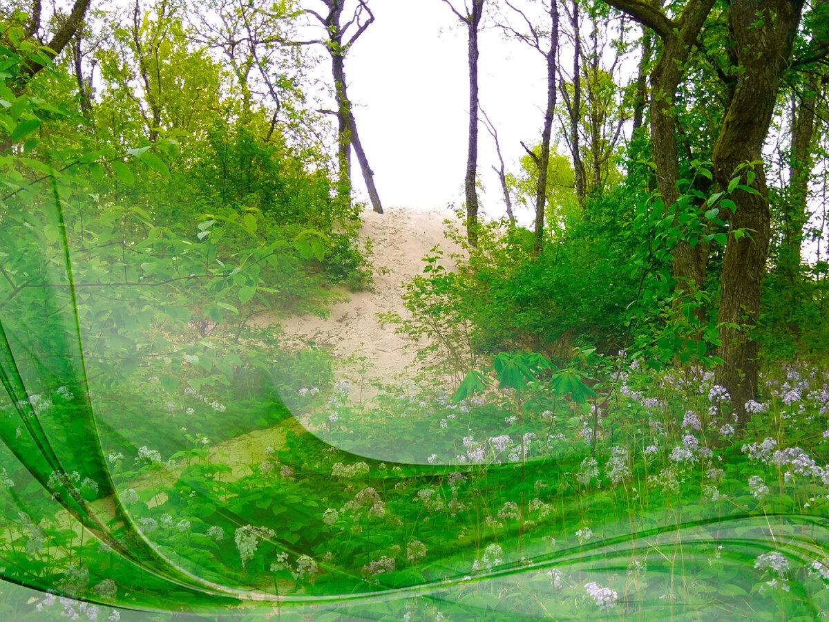 Фото автора.