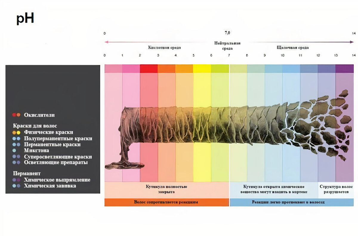 Кислая и щелочная среда ph кожи. Шкала кислотности ph волос. Ph баланс волос. Рн кожи. Уровень ph волос.