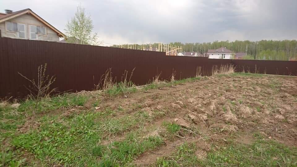 Начало, 2016 год