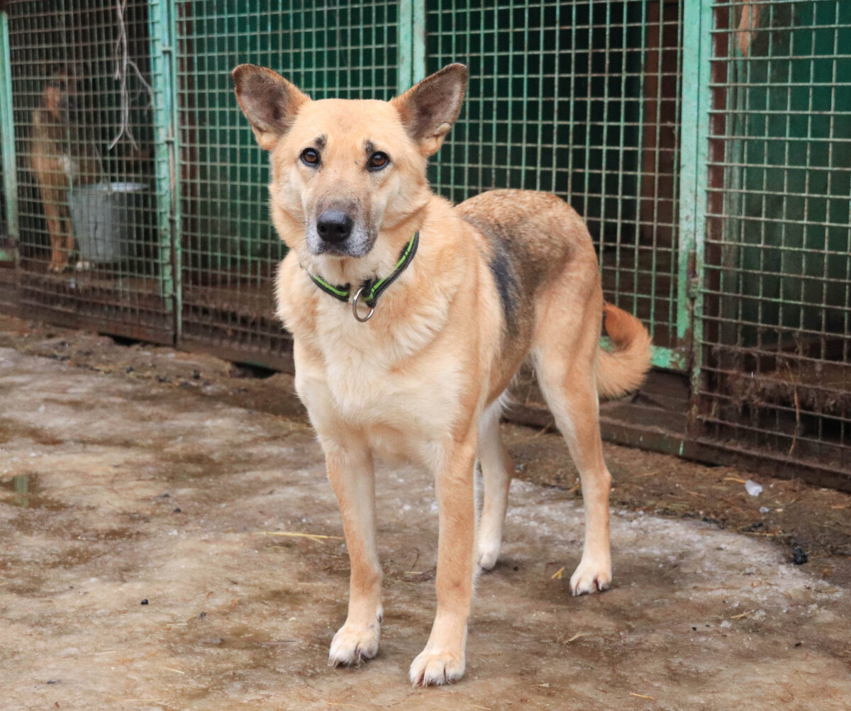 Мы не хозяева собственной жизни, а они тем более