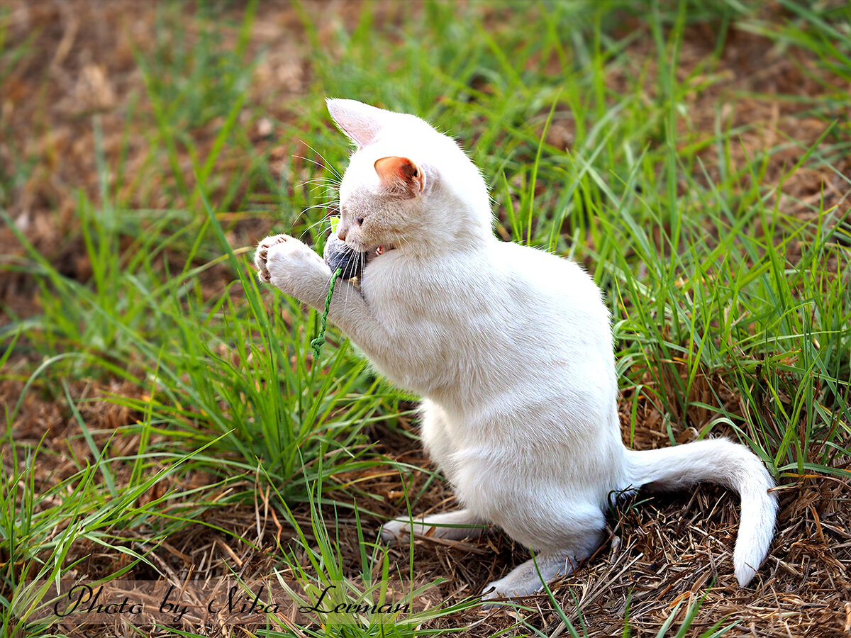 Фото автора