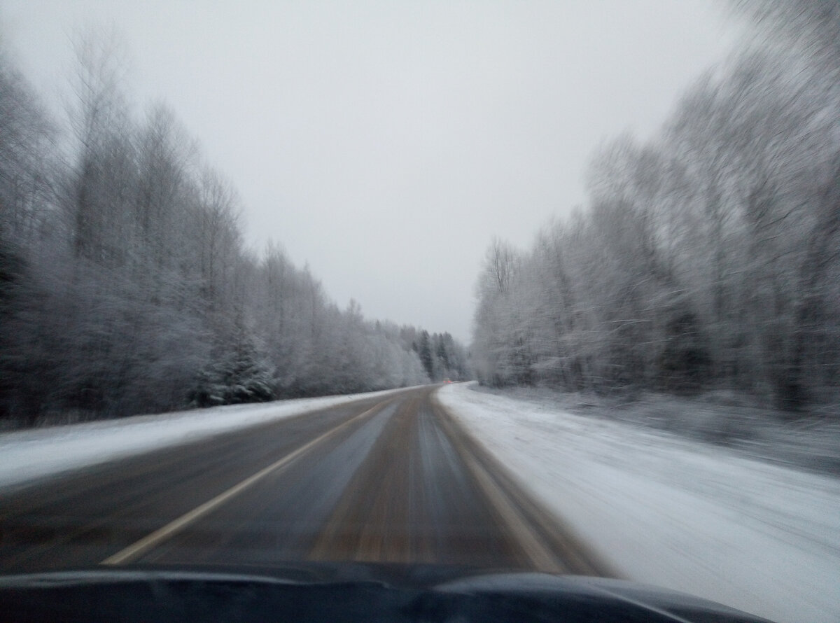 Дорога домой. 