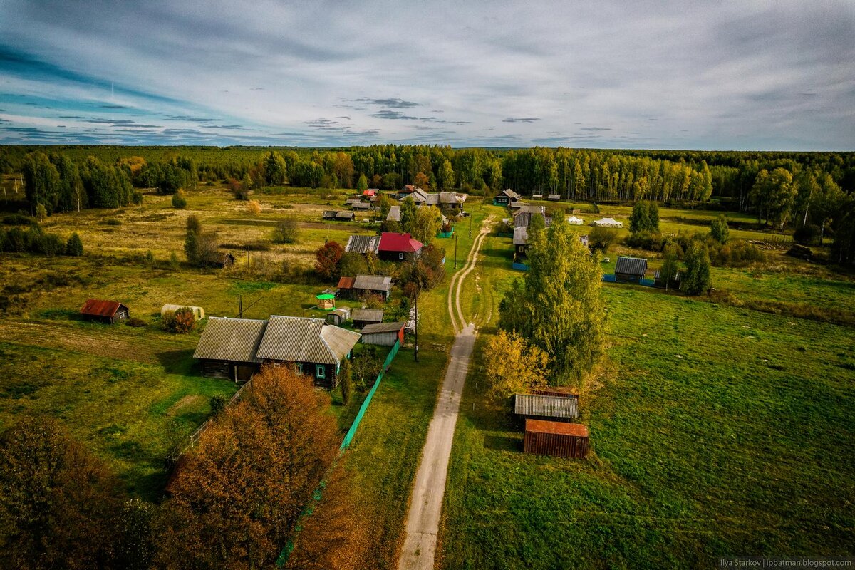 Поле / фото