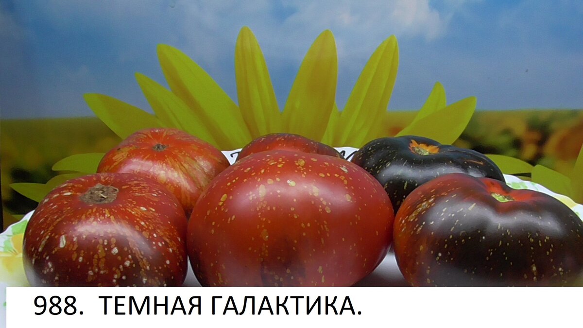 -119