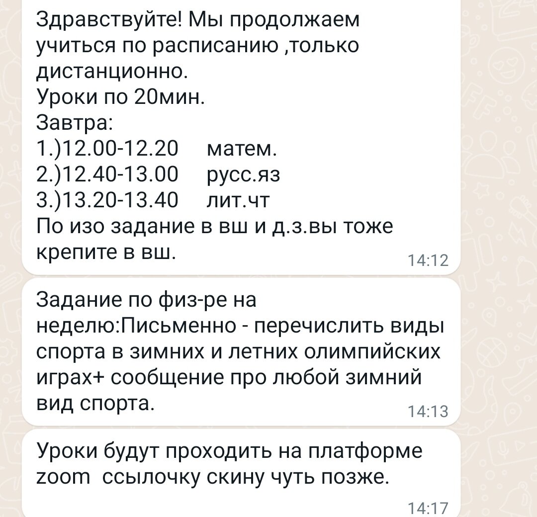 Скрин из школьного чата