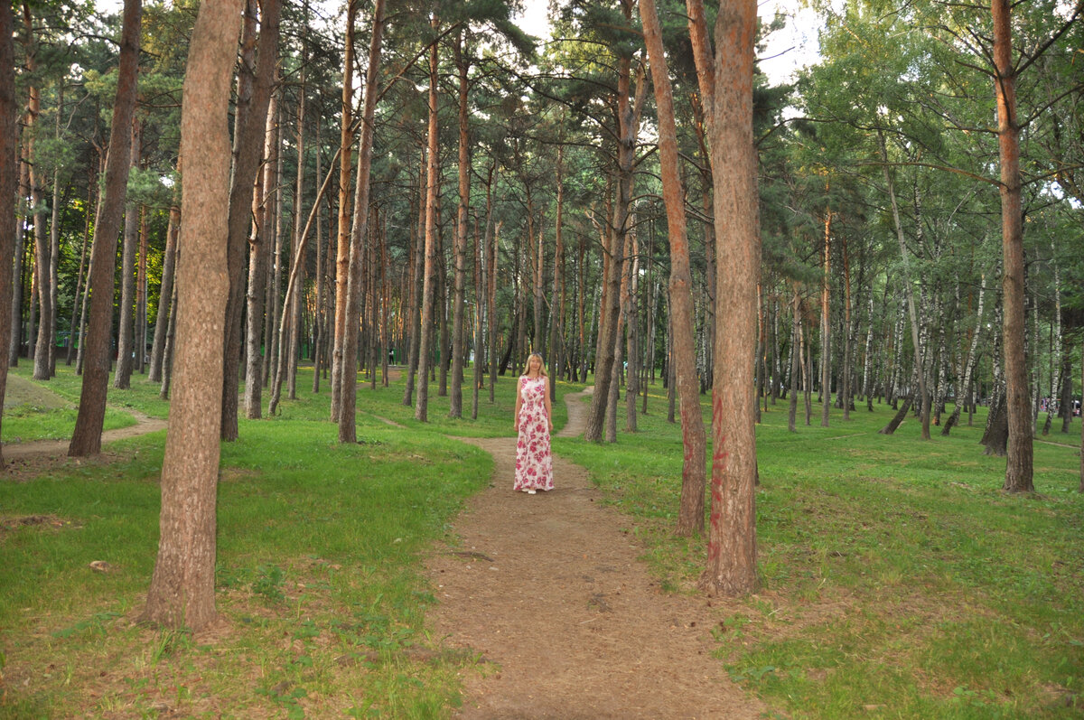 Парк Сосенки . Зюзино 