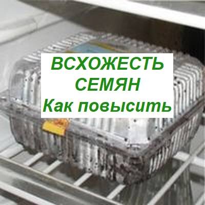 стратификация семян в домашних условиях
